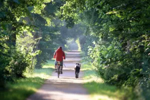 where can you ride an electric bike