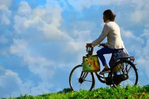 folding bike electric conversion kit