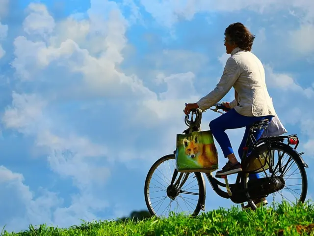 Folding Bike Electric Conversion Kits
