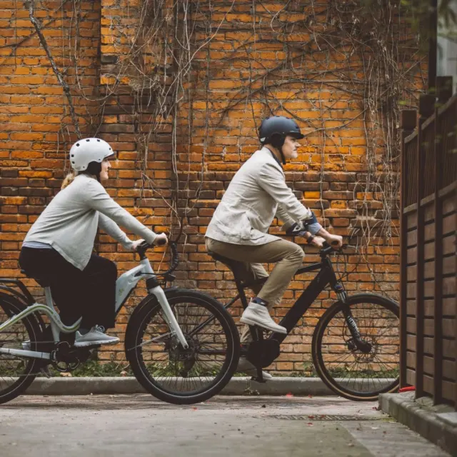 Electric Bikes as Green Transport
